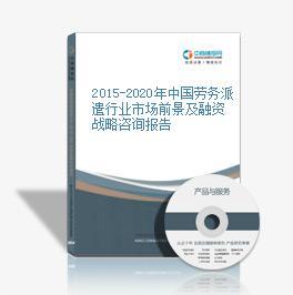 2015-2020年中国劳务派遣行业市场前景及融资战略咨询